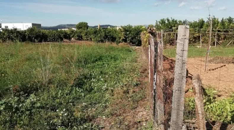 Castellon - Benicarló - 1200m2