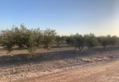 Terreny no urbanitzable en venda a la España, Totana, ref.: TR248187 foto