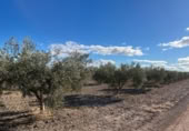 Terreny no urbanitzable en venda a la España, Totana, ref.: TR248187 foto