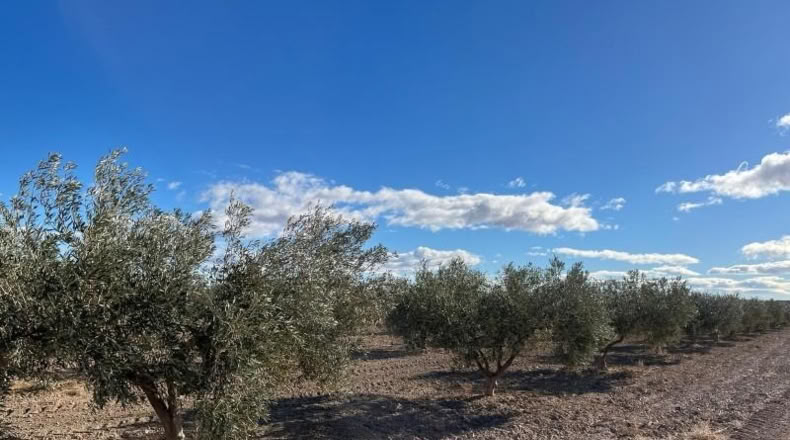 Murcia - Totana - 2236m2