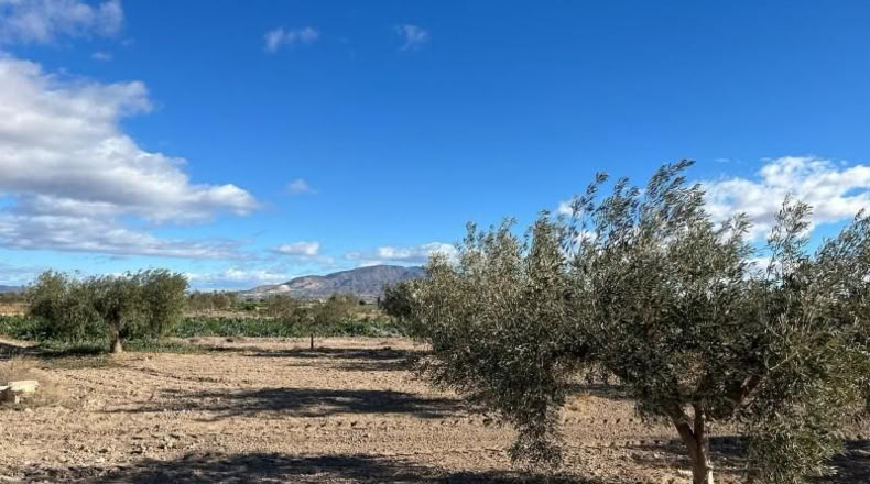 Murcia - Totana - 2236m2