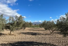 Foto 16