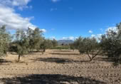 Terreny no urbanitzable en venda a la España, Totana, ref.: TR248187 foto