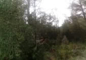 Non-developable land for sale on España, Sant Pere de Ribes, ref: TR129302 photo