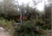 Non-developable land for sale on España, Sant Pere de Ribes, ref: TR129302 photo