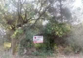 Non-developable land for sale on España, Sant Pere de Ribes, ref: TR129302 photo
