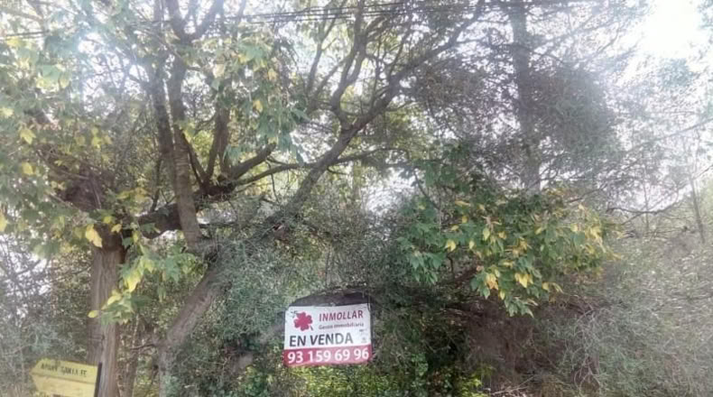 Barcelona - Sant Pere de Ribes - 543m2