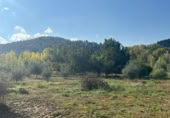 Xalet independent amb terreny en venda a la España, la Torre del Comte, ref.: TR355343 foto