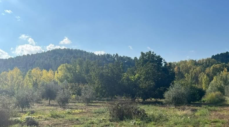 Teruel - Torre del Compte - 12m2