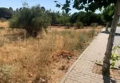 Casa amb terreny en venda a la España, Navalperal de Pinares, ref.: TR318142 foto