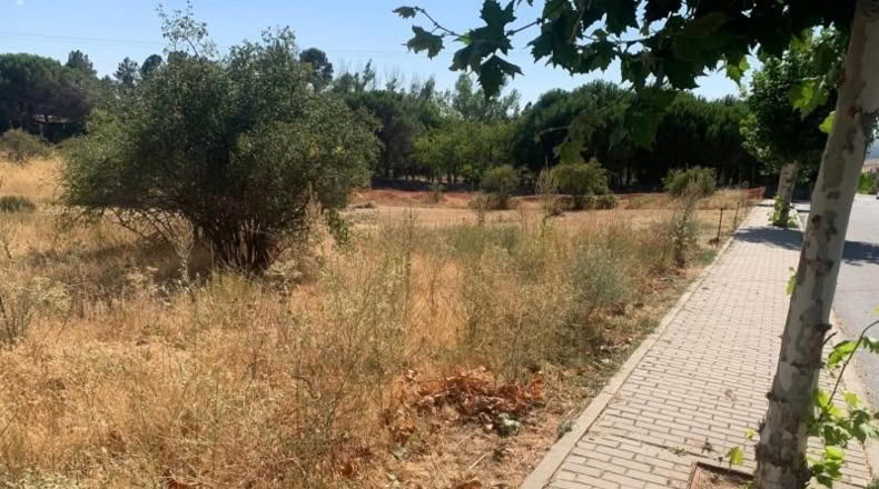 Ávila - Navalperal de Pinares - 4050m2