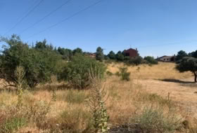 Navalperal de Pinares 4050&nbsp;m² 
