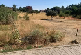 Navalperal de Pinares 4050&nbsp;m² 
