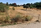 Casa amb terreny en venda a la España, Navalperal de Pinares, ref.: TR318142 foto