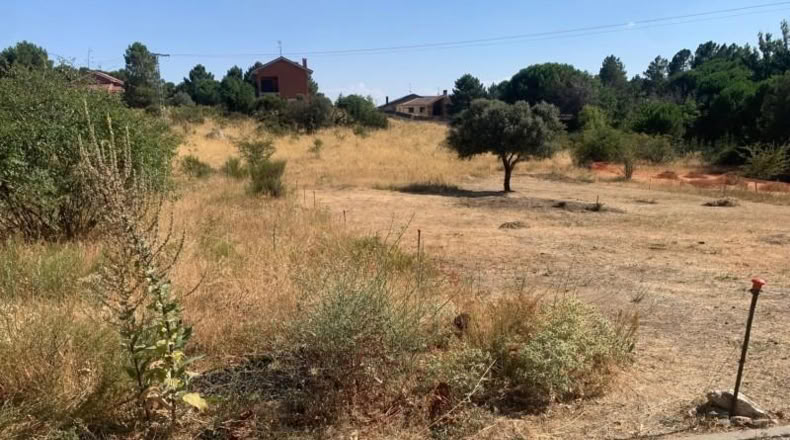 Ávila - Navalperal de Pinares - 4050m2