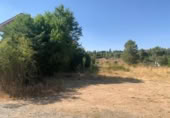 Casa amb terreny en venda a la España, Navalperal de Pinares, ref.: TR318142 foto