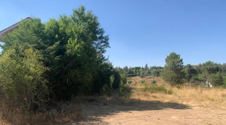 Ávila - Navalperal de Pinares - 4050m2