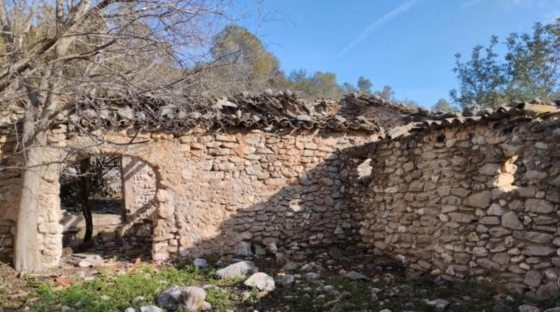 Alicante - Benissivà - 19796m2