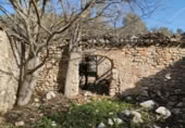 Terreny no urbanitzable en venda a la España, la Vall de Gallinera, ref.: TR221537 foto