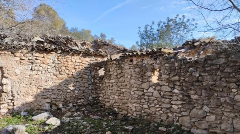 Alicante - Benissivà - 19796m2