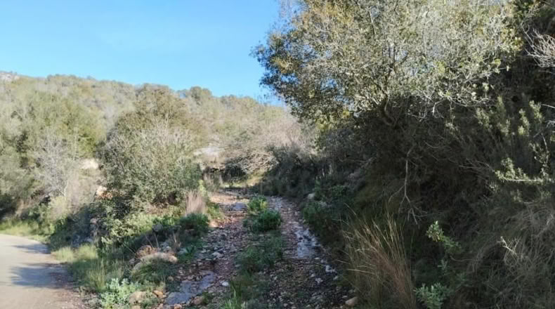 Alicante - Benissivà - 19796m2