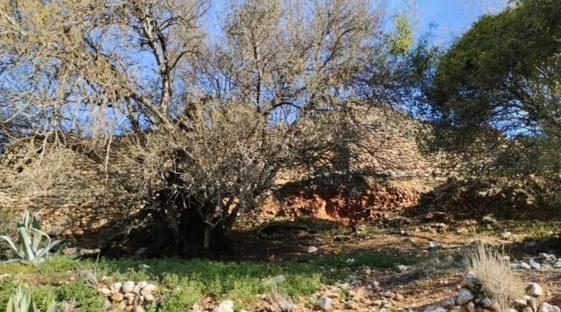 Alicante - Benissivà - 19796m2