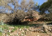 Terreny no urbanitzable en venda a la España, la Vall de Gallinera, ref.: TR221537 foto