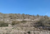 Terreny no urbanitzable en venda a la España, la Vall de Gallinera, ref.: TR221537 foto