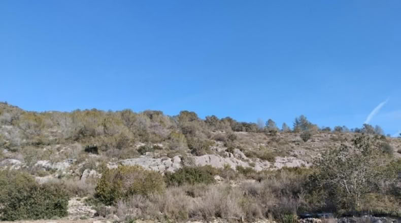 Alicante - Benissivà - 19796m2