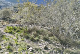 Foto 16