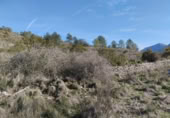 Terreny no urbanitzable en venda a la España, la Vall de Gallinera, ref.: TR221537 foto