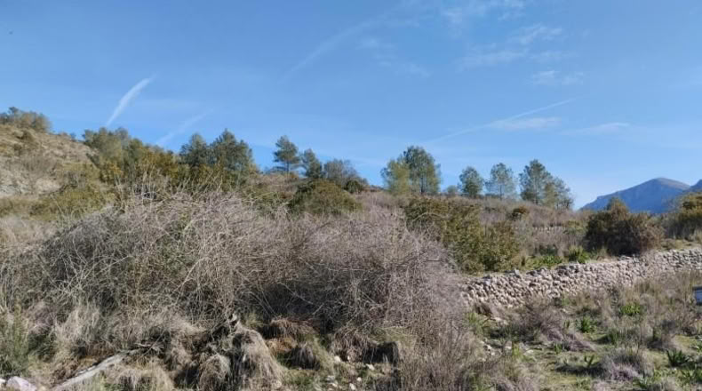 Alicante - Benissivà - 19796m2