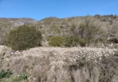 Terreny no urbanitzable en venda a la España, la Vall de Gallinera, ref.: TR221537 foto