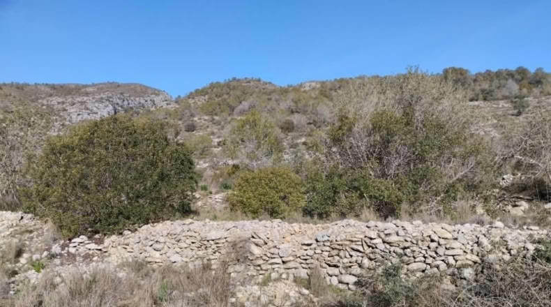 Alicante - Benissivà - 19796m2