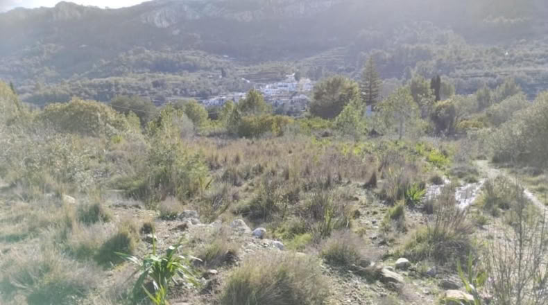 Alicante - Benissivà - 19796m2