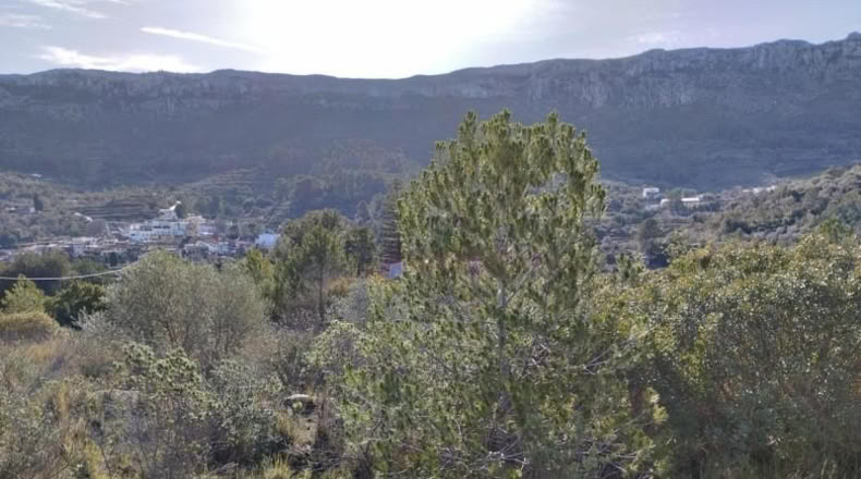 Alicante - Benissivà - 19796m2