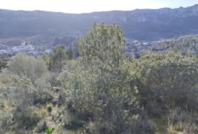 Foto 19
