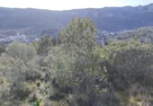 Terreny no urbanitzable en venda a la España, la Vall de Gallinera, ref.: TR221537 foto