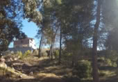 Sòl urbà en venda a la España, Castellgalí, ref.: TR115417 foto