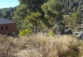 Sòl urbà en venda a la España, Castellgalí, ref.: TR115417 foto