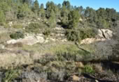 Detached villa with land for sale on España, Arens de Lledó, ref: TR317270 photo