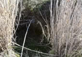 Detached villa with land for sale on España, Arens de Lledó, ref: TR317270 photo