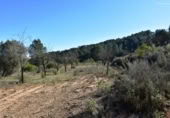 Detached villa with land for sale on España, Arens de Lledó, ref: TR317270 photo