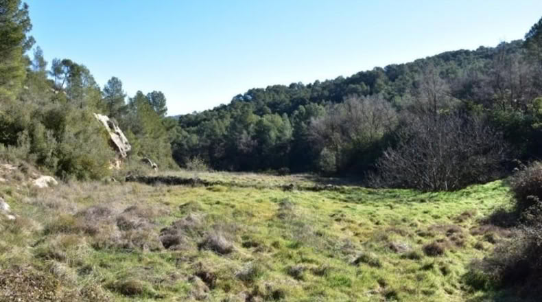 Teruel - Arens de Lledó - 33400m2
