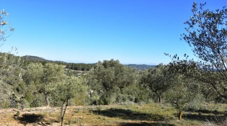 Teruel - Arens de Lledó - 33400m2