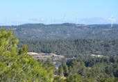 Detached villa with land for sale on España, Arens de Lledó, ref: TR317270 photo
