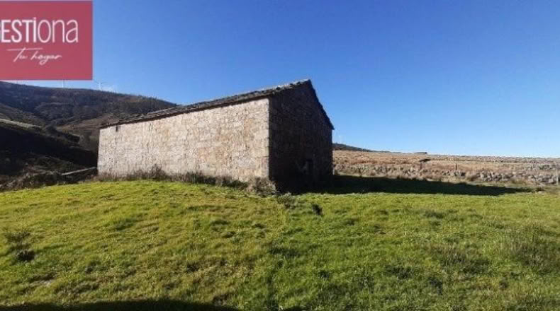 Burgos - Cornejo - 12668m2