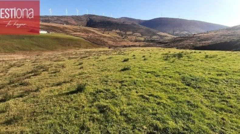 Burgos - Cornejo - 12668m2