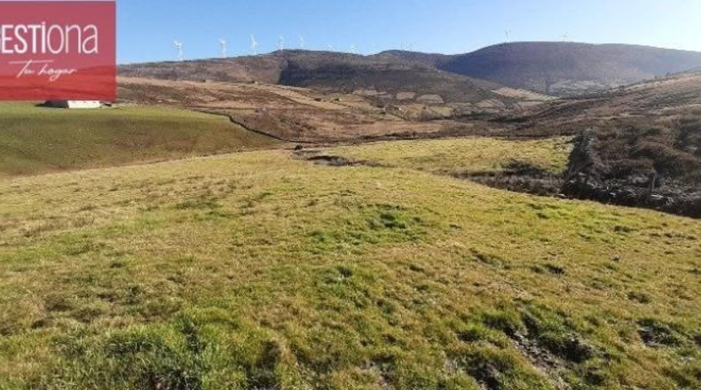 Burgos - Cornejo - 12668m2