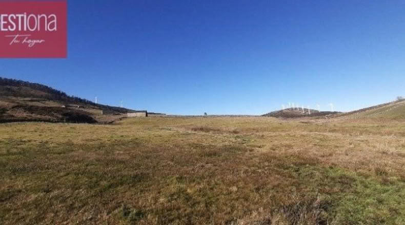 Burgos - Cornejo - 12668m2